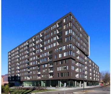 3 1/2 Grande Allée - Immeuble de prestige neuf - libre - Photo 1