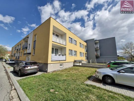 2+kk Olomouc - Horova - Fotografie 1