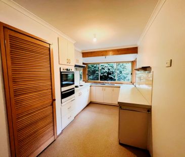 3 Bed, 2 Bath - Photo 6