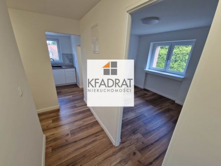 Dom na wynajem Pogodno - 7 pokoi - Zdjęcie 3