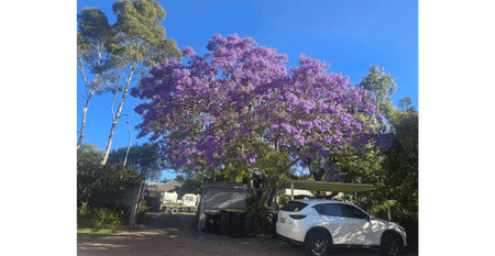 2 Bedroom granny flat with your spacious private backyard for relaxing - Photo 3