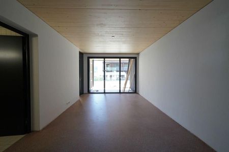 «Atelier-Wohnung im suburbanen Schweighofquartier» - Foto 4