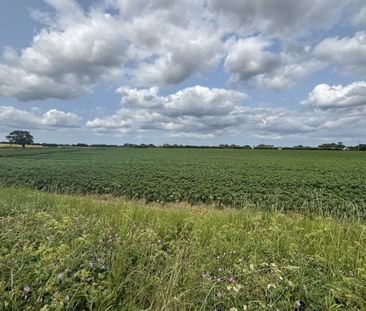 Manor Farm Road - Photo 1