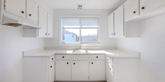 Le M Appartements Appartement 4 ½ à Louer Lévis Juillet 2026 - Photo 3