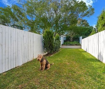 7A Silver Street, St Peters NSW 2044 - Terrace For Rent | Domain - Photo 5