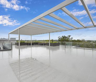 Light filled- top to floor apartment - Photo 6