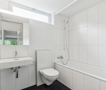 Location après rénovation. Le coin le plus calme de la Zürchermatte. - Photo 6