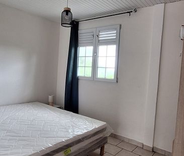 Appartement T2 meublé rénové avec jardin à mettre en valeur - Photo 1