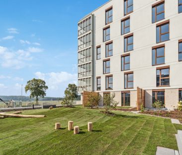 Ihr Zuhause, unser Bonus: 2 Nettokaltmiete geschenkt in dieser 2-Zi... - Foto 6