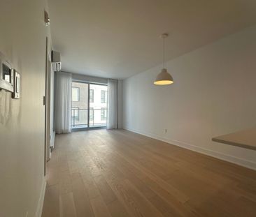 10130 Rue Lauraine-Vaillancourt, app.307, H3L 0B1, H3L 0B1, Montréal - Photo 5