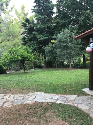 Μονοκατοικία για ενοικίαση Σανή (Κασσάνδρα) - Photo 2