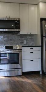 Vintage Meets Modern: Renovated 2 bed, 1 bath apartment - Photo 3