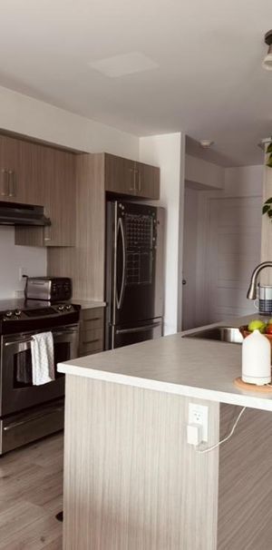 4 1/2 + bureau à louer - 1er aout 2026 - Photo 1