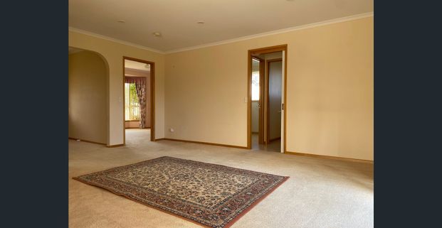 LOW MAINTENANCE LIVING IN CENTRAL LOCATION - Photo 1