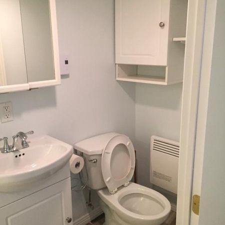 St-Raymon, 2 1/2 tout inclus à louer - Photo 4