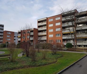 "Ruhige Wohnlage in Muttenz" - Foto 5