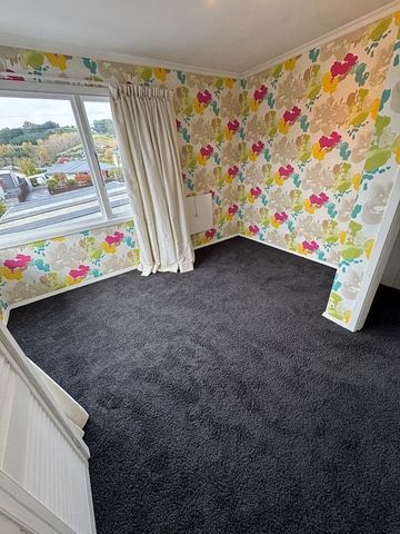 Charming 3BR Mosgiel Haven with large backyard - Photo 2