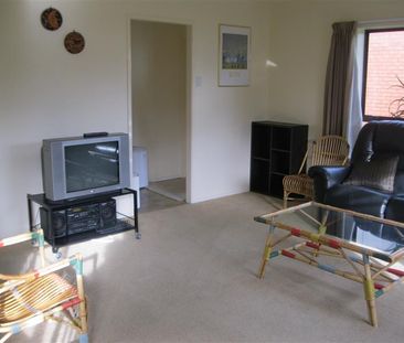 One Street Back from The Beach - Papamoa - Photo 5