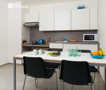 Pronájem moderního 2+1 u Vaňkovky – BEZ PROVIZE! - Fotografie 4