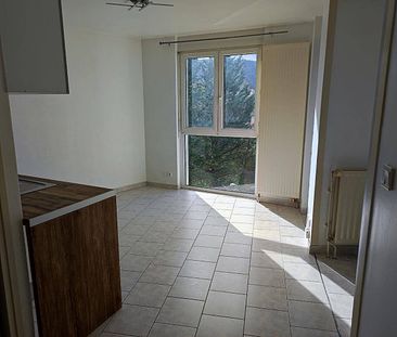 Location appartement 1 pièce 28.49 m² à Oyonnax (01100) - Photo 3