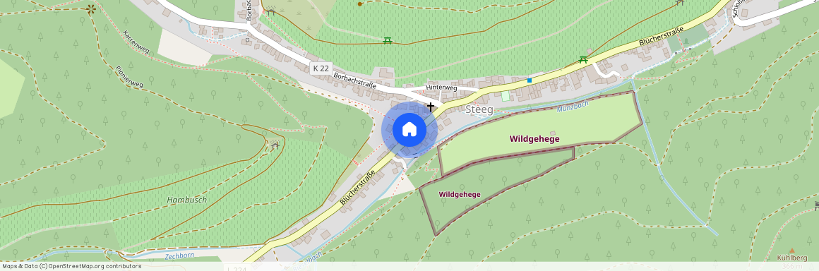 Blücherstraße 207, 55422 Rheinland-Pfalz - Bacharach