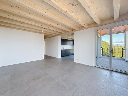 3½ PIÈCES - Vue lac - Photo 1