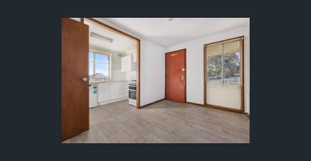 Neat 3-Bedroom Home in a Convenient Bradfordville Location - Photo 4