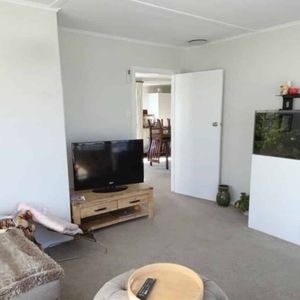 Hidden Gem - Photo 2