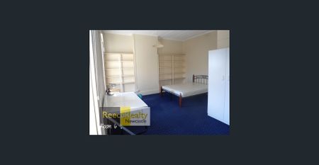 STUDENT HOUSE IN NEWCASTLE CBD - Photo 2