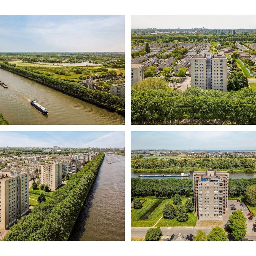 Hermelijnvlinder 95, Vlindertuin, 1113LC, Diemen - Photo 1