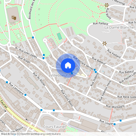 ST ETIENNE Fauriel/Villeboeuf le haut