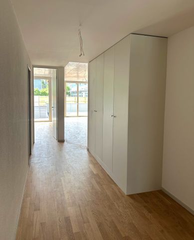 Erstbezug: Moderne 4.5-Zimmer-Wohnung in Terrassenhaus - Foto 3