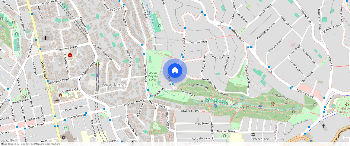 20 Suttie Road Bellevue Hill