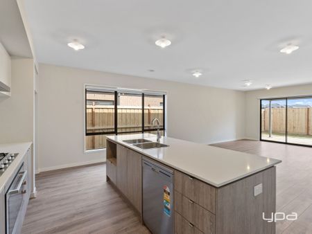 16 Marion Street, Bonshaw - Photo 5