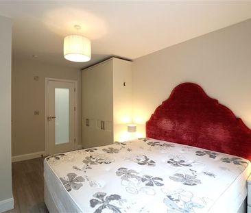 Detached Bungalow, Shrewsbury, Ballsbridge, Dublin 4, D04X3Y - Photo 6