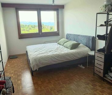 2.5 Zimmer, 60 m² - Photo 3