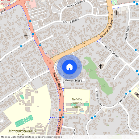 85a Ohaupo Road, Melville, Hamilton City