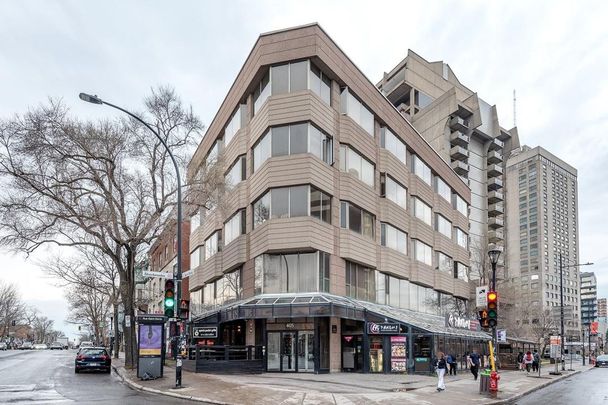 Montréal (Le Plateau-Mont-Royal) (Le Plateau-Mont-Royal) - Photo 1