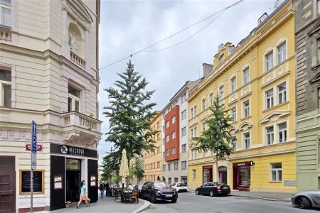 Kompletně zařízený byt 2+kk (balkón s výhledem) v posledním patře domu v Máchově ulici na Vinohradech, ihned k nastěhování - Fotografie 3