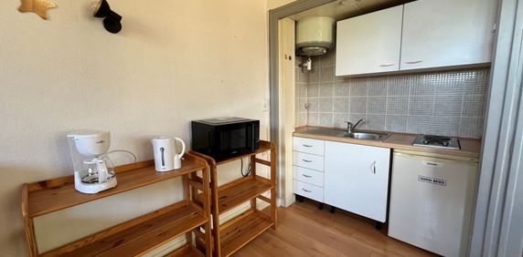 Location Appartement 1 pièce 27m² CHAMBERY 73000 - Photo 2