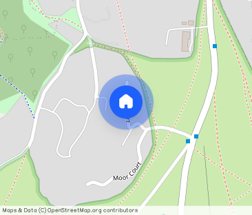 Moor Court, Rodborough Common - Photo 1