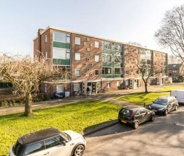 Hobbemalaan 1816 Alkmaar - Foto 1