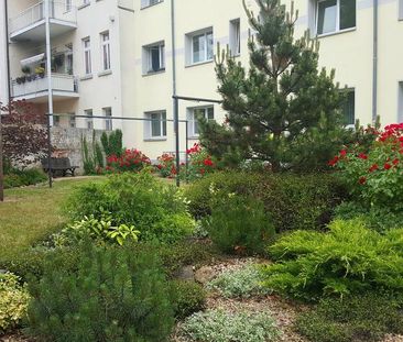 INS GRÜNE BLICKEN + ZUM HINTERHOF WOHNEN + NEUES BAD, NEUER BODEN, ... - Photo 4