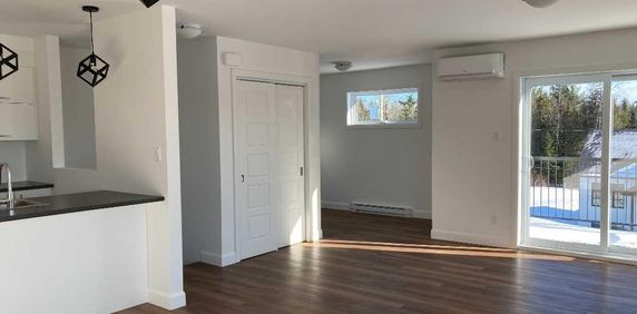 4 1/2 à louer avec espace bureau - Photo 2