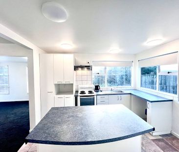 Sunny bright & newly renovated - Photo 1