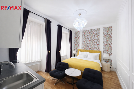 Pronájem bytu 1+kk v osobním vlastnictví 24 m², Praha 1 - Nové Město - Photo 2
