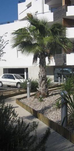 BOUTONNET - T2 - 36.98 M² - Photo 2