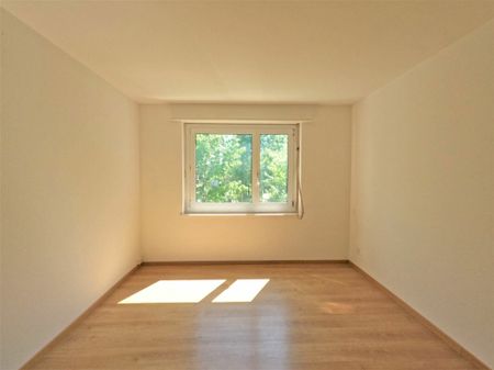 #verliebtinschaffhausen - wundervolle Wohnung mit neuer Küche, neuem Bad und sonnigem Balkon - Photo 4