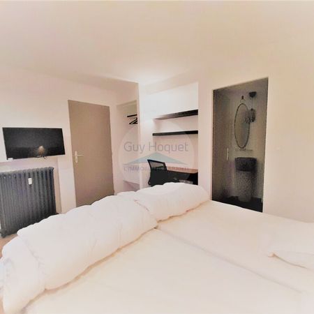 Location Appartement 1 pièce 14m² - Photo 3
