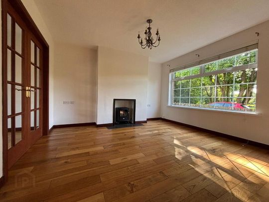 13 Old Moira Road, Upper Ballinderry, BT28 2JW - Photo 1